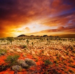 Traveling from Queensland to Darwin